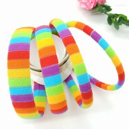 Hair Accessories 2pcs Selling Cute Rainbow Colour Headband Head Buckle Bamboo Wide Side Plush Hairband Wholesale