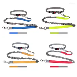 Dog Collars Hands Free Leash A Running For Dogs Great Waist Bungee With Reflective And Adjustable