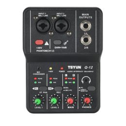 Portable Audio Interface Professional Mini External Sound Card Mixer 48V Computer Guitar Studio PC Record Teyun Q-12 Equipment 240314