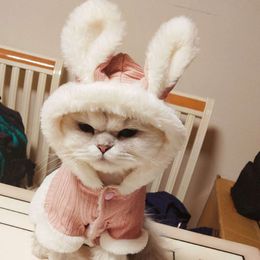 Dog Autumn Winter Cat Small and Cute Rabbit Two Legged Pet Clothes, Teddy Bomei Clothes