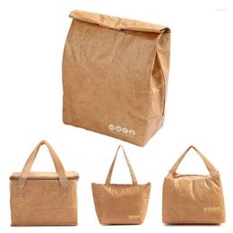 Dinnerware Kraft Paper Collapsible Cold Retention Cooler Bag Bento Picnic Hiking Thermal Insulated Lunch