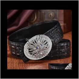 Men Designer Crocodile Leather Belt Fashion Luxury Glittering Diamonds 3D Dragon Smooth Buckle 125Cm 12 Models Jdbd7 Belts Vz8Ll258u