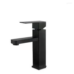 Bathroom Sink Faucets 304 Stainless Steel Black Washbasin Faucet And Cold Paint Bath Square Single Hole