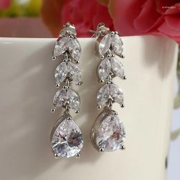 Dangle Earrings Crystal Leaf Drop Sterling Silver White Zircon Boho Wedding Jewelry Long