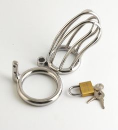 Stainless Steel Lock Device Restraint Bird Cage Cock locking New #R761362683