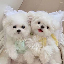 Dog Apparel Pet Costume Spring And Summer Puppy Clothes Small Plaid Skirt Teddy Balloon Dress Cute Evening S-2XL