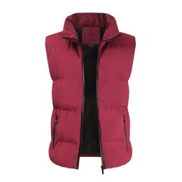 Vests 2023 Autumn/Winter New Down Cotton Vest Men's Spring/Autumn Fashion Thickened Warm Coat Cotton