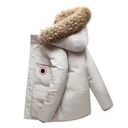 2024 뉴 캐나다 거위 겨울 코트 두꺼운 따뜻한 남자의 다운 파카 재킷 작업복 재킷 야외 두꺼운 패션 커플 라이브 방송 코트 387