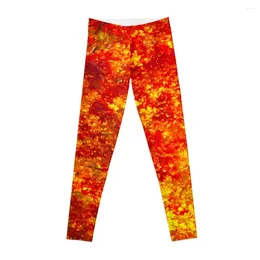 Active Pants Orange Maple Tree Pography Yellow Trees Autumn Woods Fall Leggings For Girls Fitness Set Gym Womens