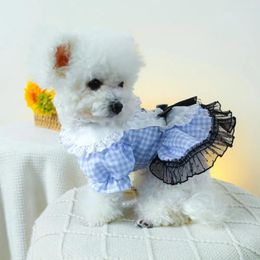 Dog Apparel Pet Dress With Traction Loop Chic Mesh Splicing Princess Bow Decoration Doll Collar Fashionable For Pooch