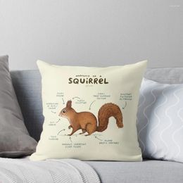 Pillow Anatomy Of A Squirrel Throw Couch S Luxury Case