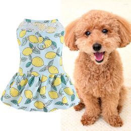 Dog Apparel Charming Pet Dress With Flower Design Chest Strap Decoration For Small Dogs Season Fashion Puppy