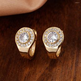 Stud Earrings Style Women's Gold-Plated Three-Dimensional Round Simple Sophisticated 3A Zircon Party Casual Jewelry