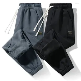 Men's Pants Daily Fleece Elastic Waist Jogger Korean Style Loose And Warm Harem