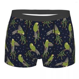 Underpants Kakapo Parrot Kaka Po Strigops Habroptila Bird Birds Rimu Homme Panties Men's Underwear Sexy Shorts Boxer Briefs