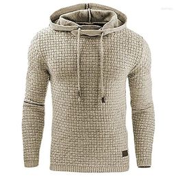 Hoodies masculinos 2024 marca masculina xadrez com capuz moletom dos homens com capuz agasalho suor casaco casual roupas esportivas M-4XL gota