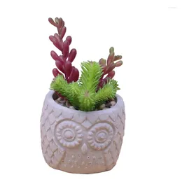 Decorative Flowers Simulated Succulent Plant Senecio Articulatus Ornamental Bonsai Colour Artificial Potted