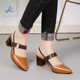 HBP Non-Brand Fashion Summer new Women Office high heels casual Shoes Pointed Chunky heel Large Size chaussures femmes sandale