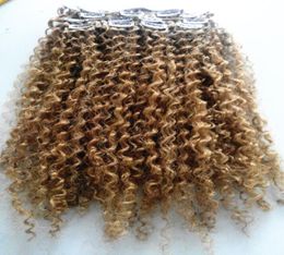 brazilian human virgin remy curly hair weft natural curl weaves unprocessed blonde 270 double drawn clip in extensions4034580