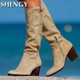 Boots Women Knee High Boots Suede Sexy Crystal Pointed Toe Tall Boots Retro Gladiator High Heels Shoes Ladies Autumn Winter Long Boots