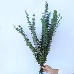 Decorative Flowers Eucalyptus Plant Kit 10pcs Natural Leaf Branches For Non-withering Home Vase Decoration Po Props Reusable Green