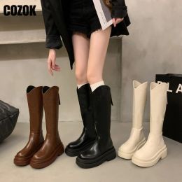 Boots Thick Bottom Women Knee High Boots Knight Ladies Platform Flats 2023 New Back Zipper Casual Gothic Punk Female Shoes Motorcycle