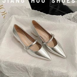 Pointed Toe Women Shoes 2024 Spring Silver Mary Jane Comfortable Low Heel Dress Simple Versatile Womens Pumps 240301