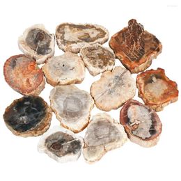 Jewelry Pouches TUMBEELLUWA Natural Irregular Petrified Wood Stone Slice For Making DIY Healing Decoration 40-75mm