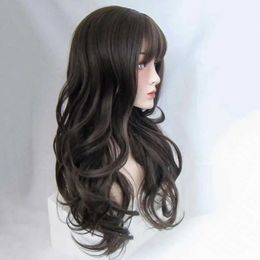 Synthetic Wigs Long Wavy Wig Lace Net Smooth High Temperature Fibre Fashion Ombre Breathable Women Wigs for Female 240329