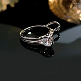 Cluster Rings Desire Fashionable And Personalized Light Luxury 925 Silver Inlaid High Carbon Diamond Versatile Ear Ring