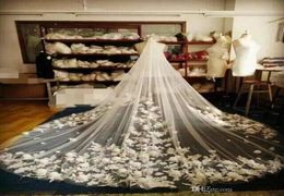 3D Floral Bridal Veils 3M Cathedral Length Long White Ivory Champagne Wedding Veils with Combs Tulle and Lace Appliques 2020 New H2764755