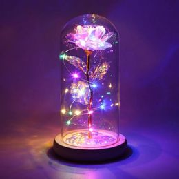 Rose Light Artificial Flowers Gold Foil Galaxy Lamp In Glass Battery Powered Gifts for Women Girls Wedding Valentines Day 240314