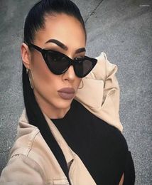 Sunglasses Sexy Cat Eye Women Brand Designer Mirror Black Triangle Sun Glasses Female Lens Shades For Ladies Eyewear UV4002982776