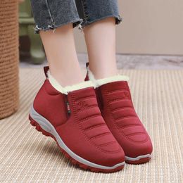 HBP Non-Brand Factory wholesale Women walking shoes Soft and thickened plush winter Outdoor waterproofing snow boots for women