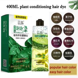 Color Natural Botanical Bubble Dye Shampoo Brown Black Hair Dye Covering White Hair Shampoo Plant Hair Dye Fast Hair Dye Cream