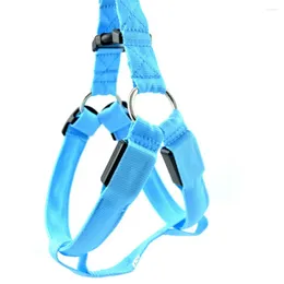 Dog Apparel Pet LED Light Up Harness