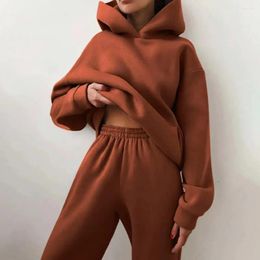 Women's Two Piece Pants Casual Hooded Tracksuit Two-piece Solid Colour Loose Jogging Bottoms Suit