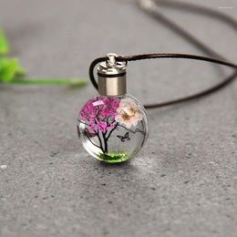 Pendant Necklaces LED Light Luminous Gifts Dried Flower Plant Fashion Accessories Glass Ball Necklace Jewelry