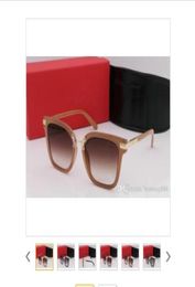 luxury top qualtiy New Fashion sunglasses Tom Sunglasses For Man Woman Erika Eyewear ford Designer Brand Sun Glasses with original1373561