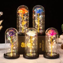 LED Enchanted Galaxy Rose Lamp Eternal 24K Gold Foil Flower With Fairy String Light In Glass Dome Christmas Valentines Day Gift 240314