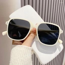 Sunglasses 2024 Fashion Beige Full Frame Polarising Driving TAC Anti-UV400 Polarizers