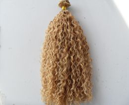 brazilian curly hair weft clip in natural kinky curl weaves unprocessed blonde human virgin remy extensions chinese hair4956426