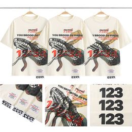 Men's T-Shirts RRR123 High Street Athleisure Loose Alchemy Python 3D Foam Printed Round Neck Loose Short Sleeve T-shirt For Men T240318