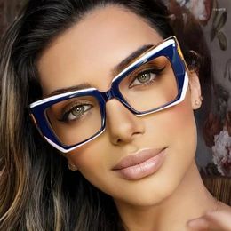 Sunglasses Frames Trendy Purple Cat Eye Anti Blue Light Glasses Women Computer Optics Eyeglasses Tr90 Irregular Frame Fashion Glass Brand