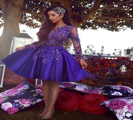 Dark Purple Short Homecoming Dresses Vintage Long Sleeve A Line Sheer Neck Applique Beaded Cocktail Party Dresses Sweet 16 Prom Go2780172