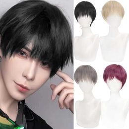 Synthetic Wigs Short Straight Brown Wig Boy Synthetic Hair With Bangs For Men Male Cosplay Halloween Anime Costume Wig Heat Resistant 240328 240327