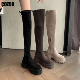 Boots Thick Sole Over The Knee Boot Women Stretch Lace Up 2023 New Flock Zipper Female Thick Heel Shoes Ladies Vintage Thigh High Boot