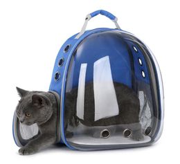Cats and Small Dogs Transparent Space Capsule Breathable Shoulder Bag Pet Outside Travel Portable Carry Backpack Dogs Cat Carrying5991856