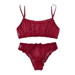 B Women's Sleepwear Sexy Wave Point Fun Lingerie See Through Mesh Underwear Erotic Costume Porn Bra And Panty Lingeries For Woman