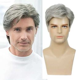 Synthetic Wigs Sylhair Men Wigs Short Silver Grey Wig Male Guy Short Layered Cosplay Costume Party Synthetic Heat Resistant Natural Hair 240328 240327